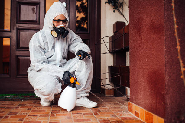 Reliable Cockroach Control contractor in Waverly, TN by Nex Pest Control